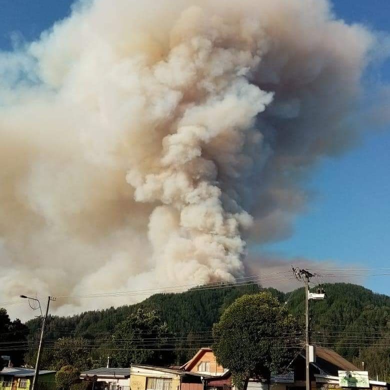 Decretan alerta roja por incendio sin control en Chiguayante