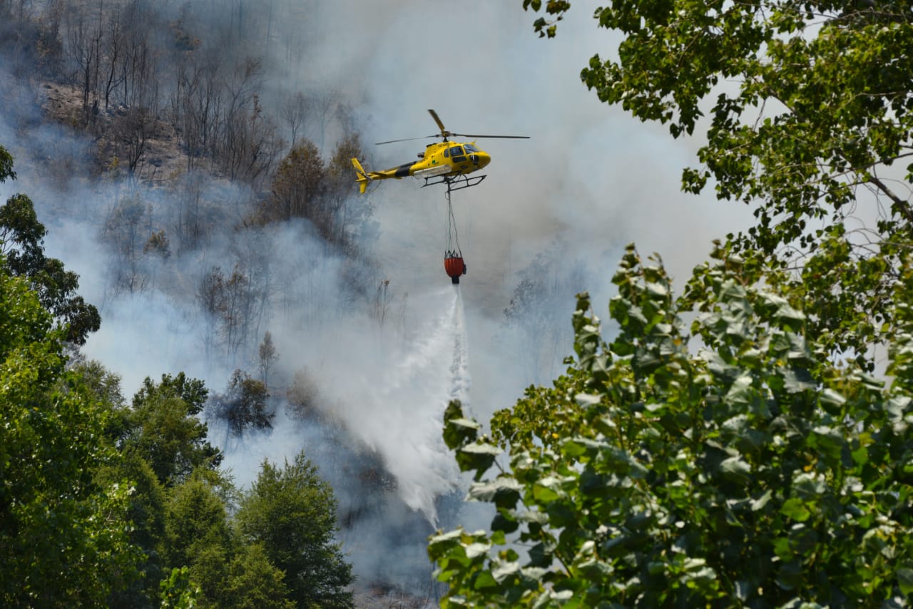Incendio forestal de Chiguayante ha consumido 100 hectáreas de la Reserva Nonguén
