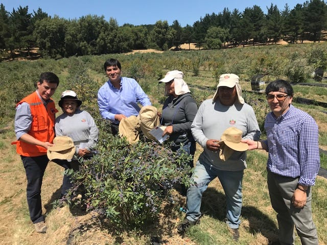 Trabajadores agrícolas de temporada recibieron implementos de protección contra rayos UV