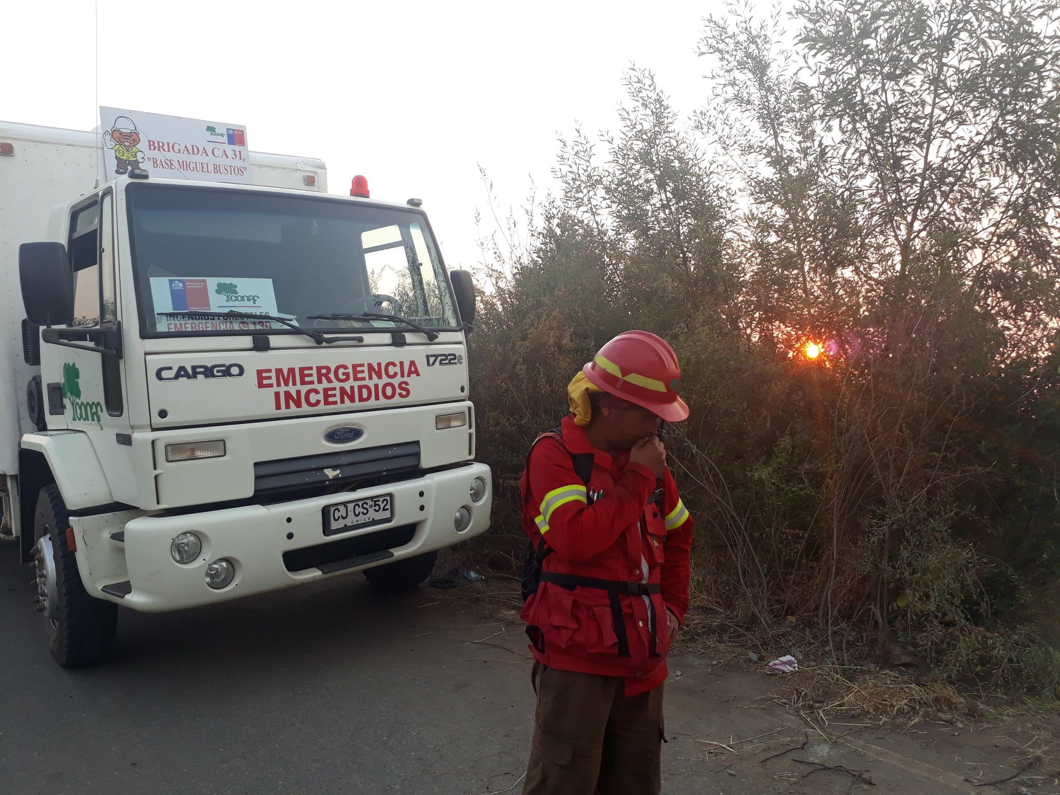Onemi declaró Alerta Roja para Lota por incendio forestal