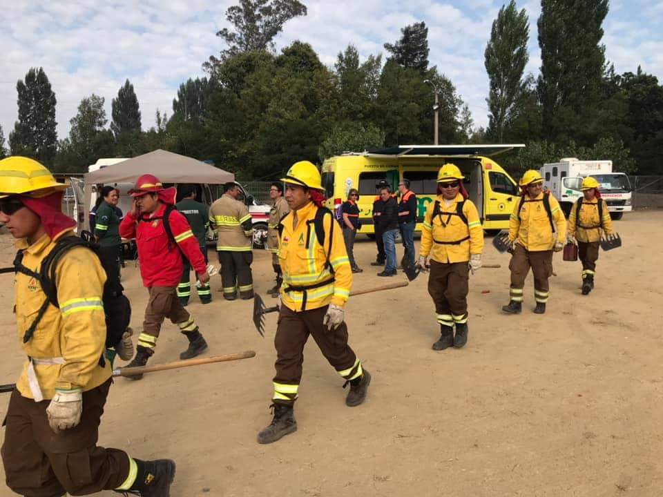 Más de 800 hectáreas quemadas: sigue en combate incendio forestal en Laja
