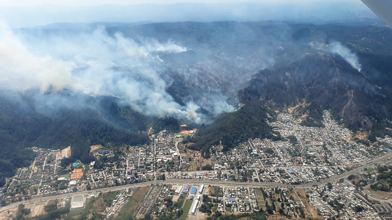 Anuncian querella contra responsables de incendios forestales en la Provincia de Concepción