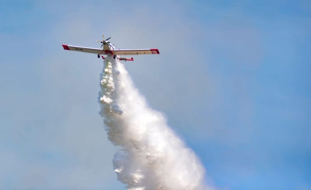 Preocupante balance de Conaf: 20% más de incendios lleva el Biobío en comparación a 2019
