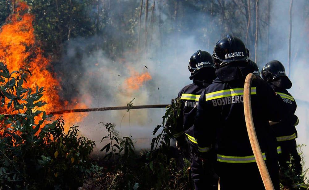 Mega incendio forestal en Santa Juana sigue fuera de control y bajo intenso combate
