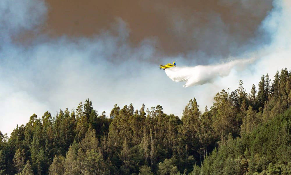 Declaran Alerta Roja en Mulchén por incendio forestal
