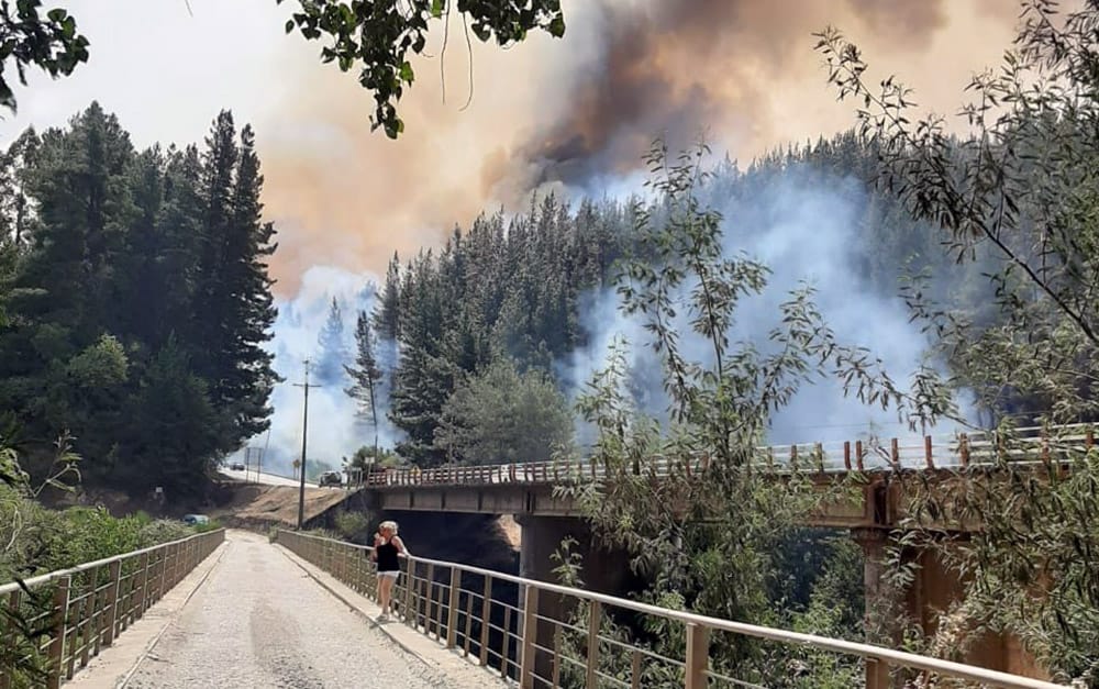 Declaran Alerta Amarilla para la Región del Biobío por incendios forestales