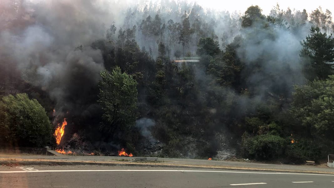 Incendios forestales avanzan sin control en la región del Biobío y consumen cientos de hectáreas