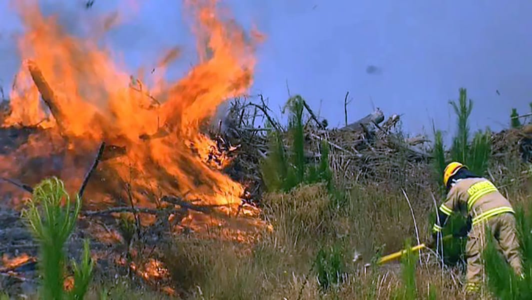 Concepción anticipó trabajo preventivo de incendios forestales ante crisis climática