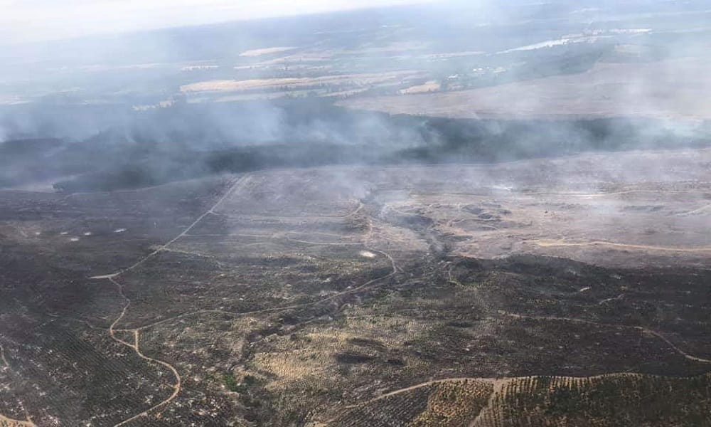 Contienen incendio forestal y leve llovizna ayuda a bajar temperatura en Laja