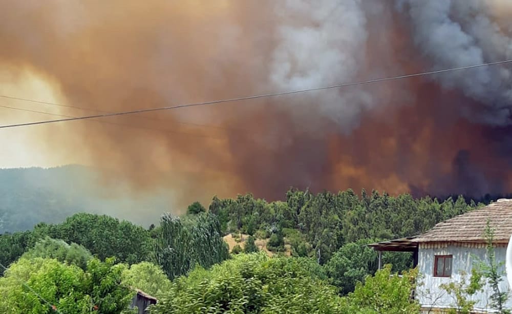 Incendio forestal afecta a Nacimiento y amenaza a sectores poblados de la provincia de Biobío
