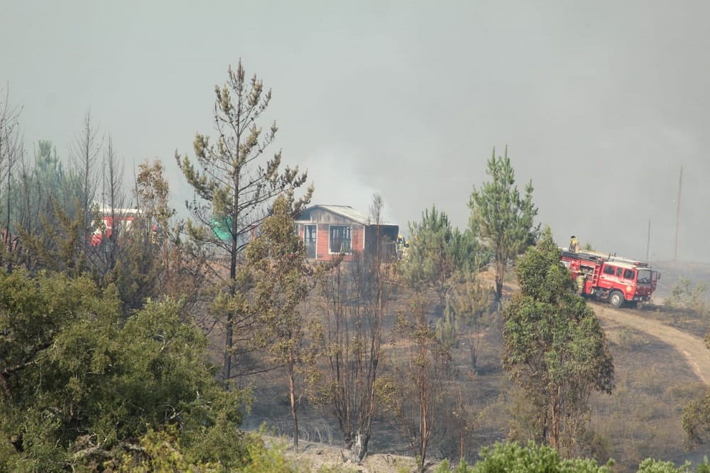 Conaf entregó balance sobre incendio forestal en Santa Juana