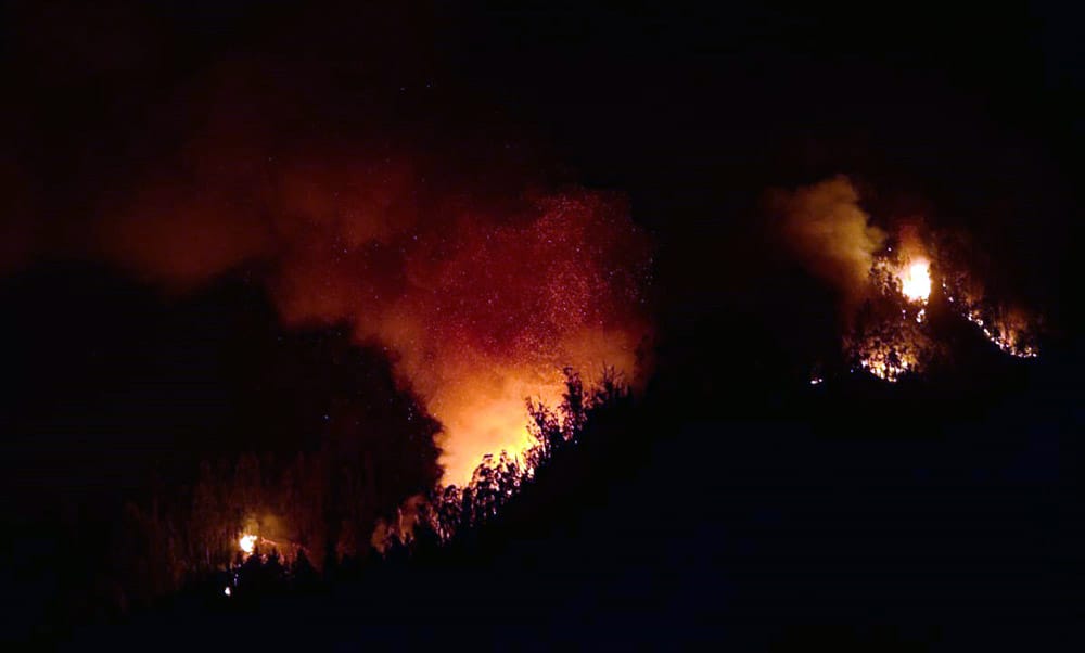 Incendio forestal derivado de ataque a 31 casas en Contulmo cumplirá una semana activo