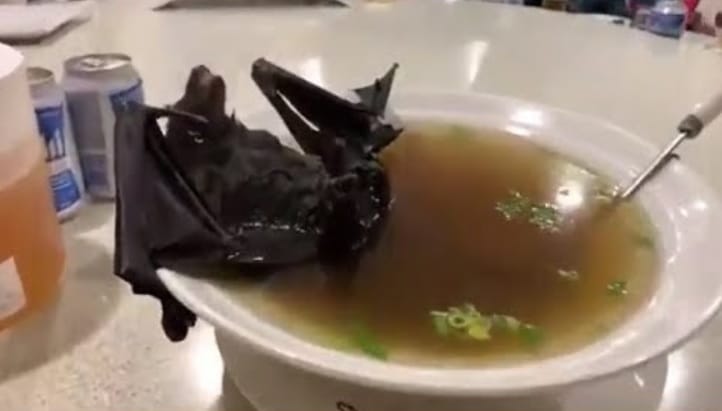 Sopa de murciélago: El posible causante del brote de coronavirus