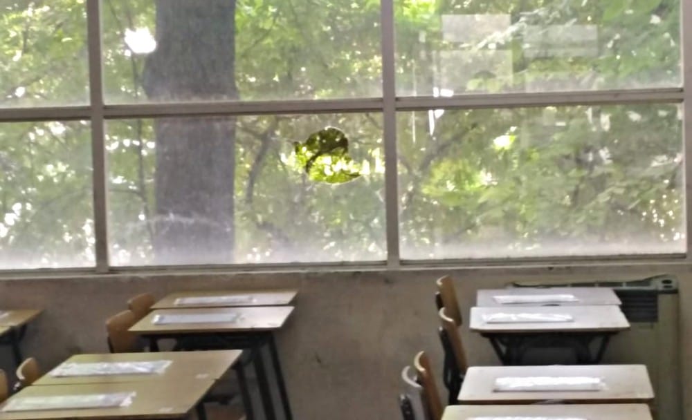 Suspenden PSU en Colegio Brasil de Concepción por incidentes