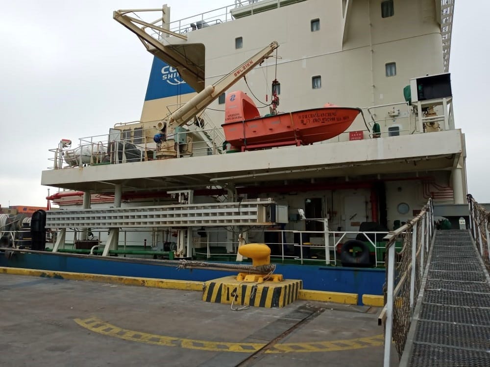 Autoridad sanitaria recibió barco chino en Coronel y descartó riesgo de Coronavirus
