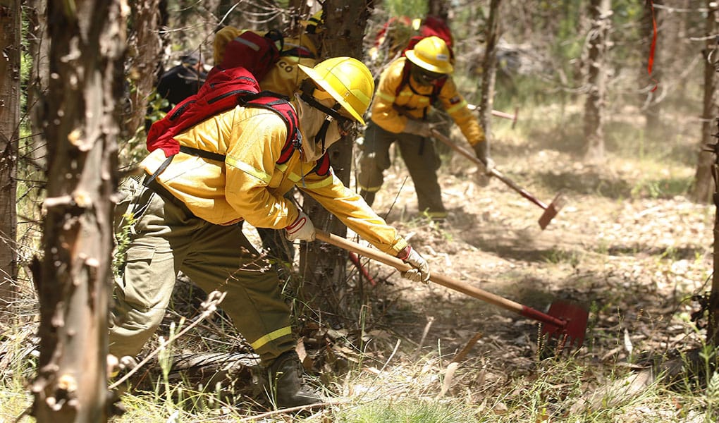 Declaran Alerta Roja en Arauco por incendio forestal cercano a viviendas y un aserradero