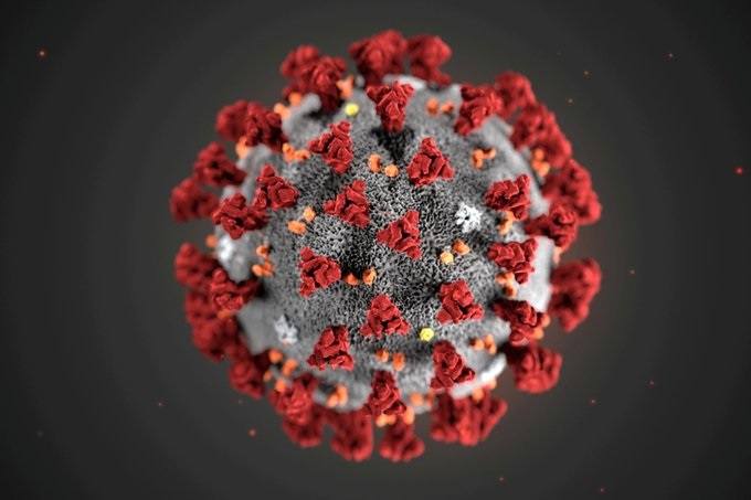 Coronavirus: EE.UU anunció primer contagiado sin ningún viaje al extranjero