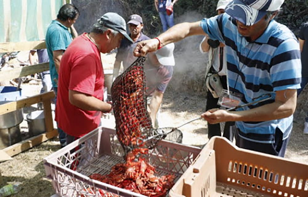 Municipio de Hualpén cancela tradicional Fiesta del Changai: Chominos advierten que va “sí o sí”