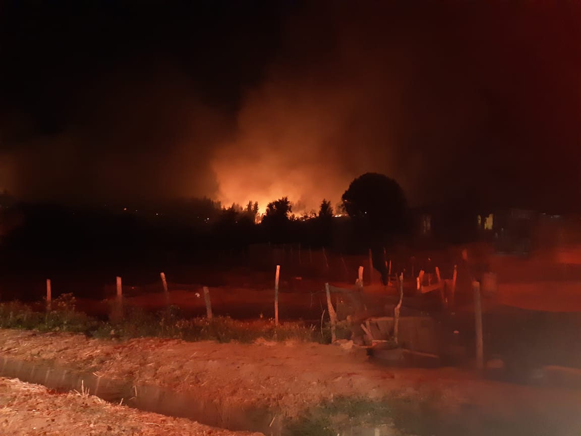 Controlan incendio forestal que estuvo cercano a viviendas en Laja