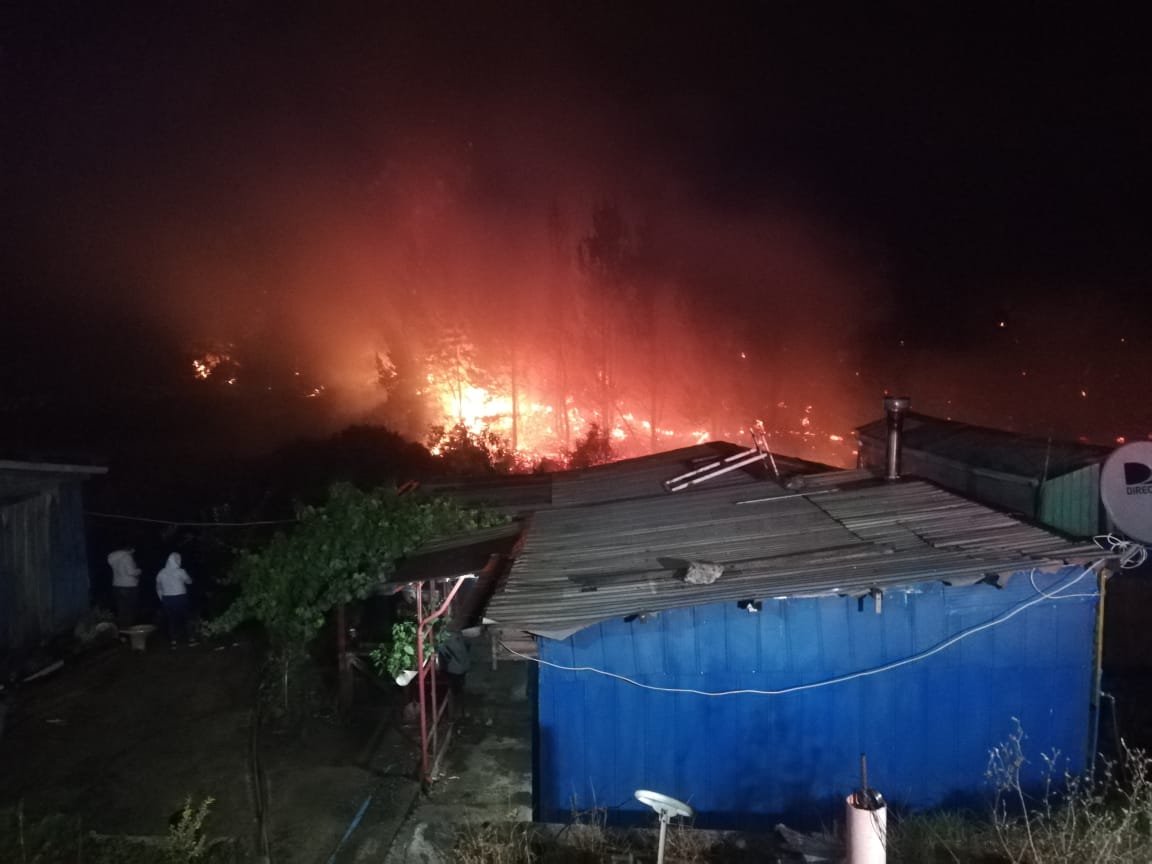 Al menos cinco casas están en riesgo de ser alcanzadas por incendio forestal en Penco