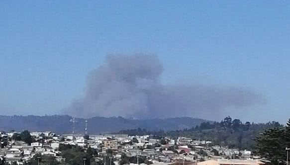 Declaran Alerta Amarilla para la comuna de Tomé por tres focos activos de incendios forestales