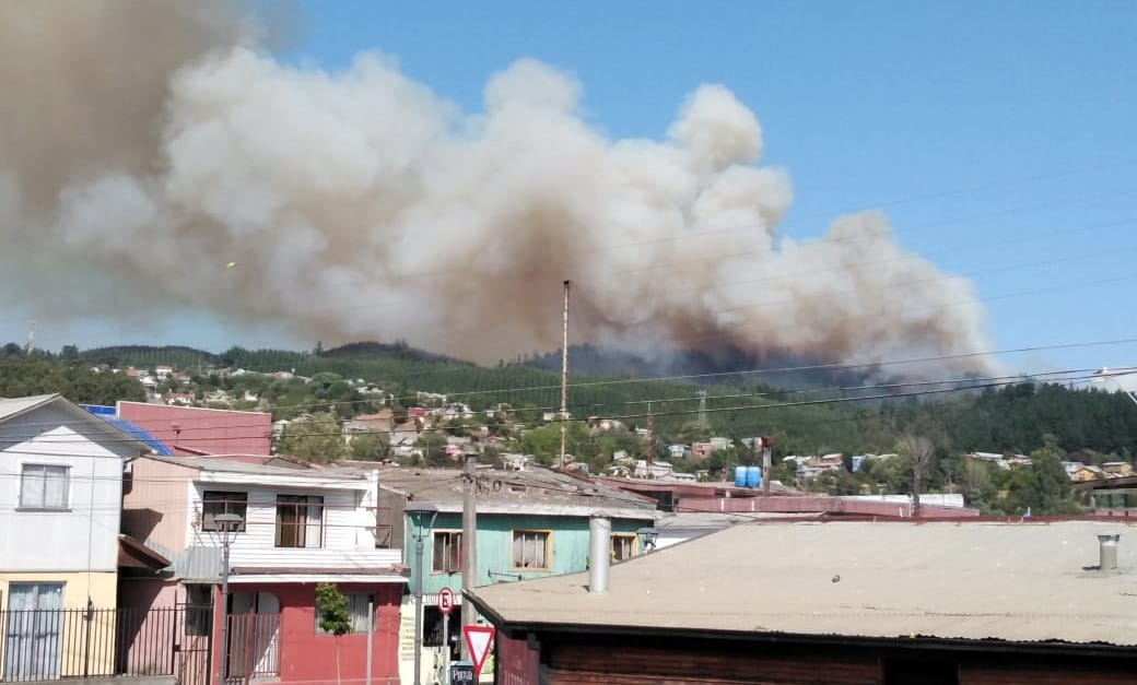 Incendio forestal se propaga por cerros de Penco