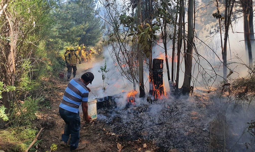 Más de 5 hectáreas consumidas: Incendio en Santa Juana está controlado