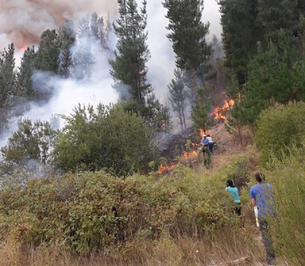 Declaran alerta roja para Santa Juana por peligroso incendio forestal
