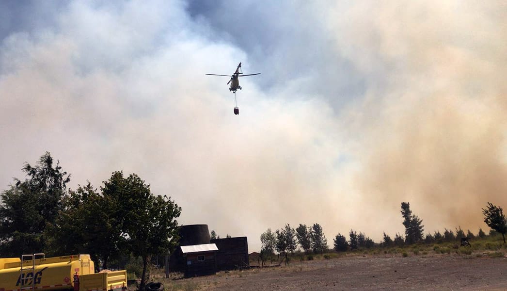 Declaran Alerta Roja en Tucapel por incendio forestal