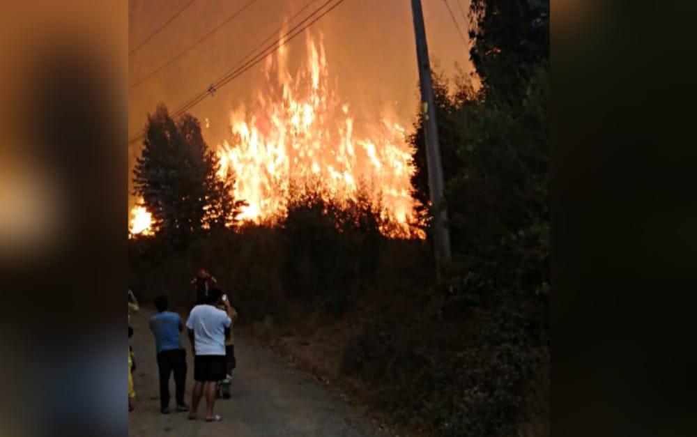 Elevan a 580 las hectáreas consumidas en Hualqui: Fuego amenaza a viviendas