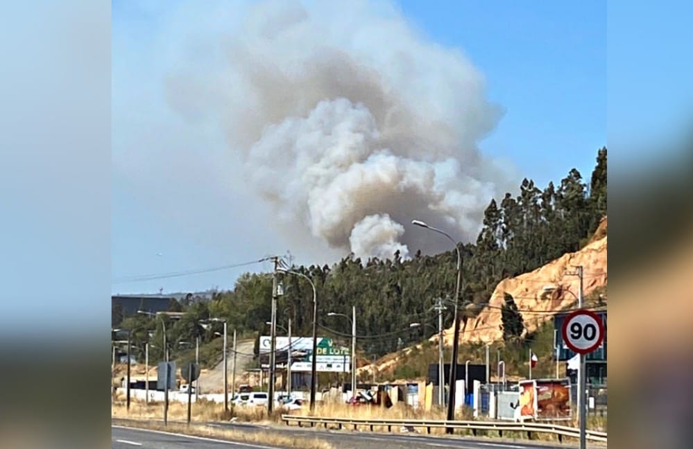 Declaran Alerta Roja para Penco por incendio forestal