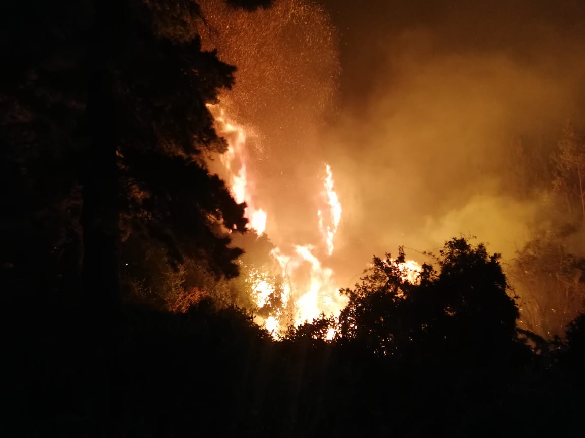 Elevan a 120 las hectáreas consumidas en Penco: Viviendas bajo amenaza