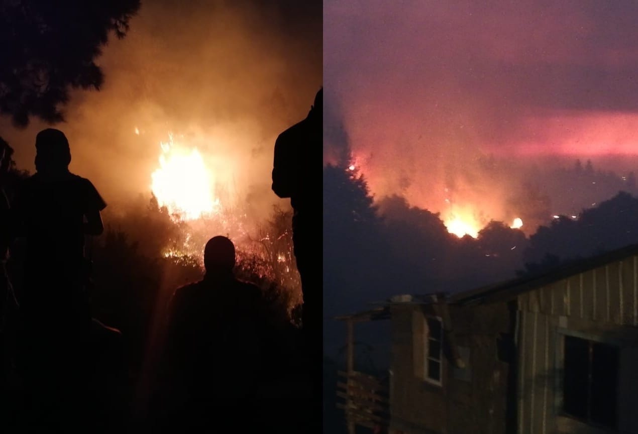 Vecinos de Penco protegen sus casas ante cercanía de incendio forestal