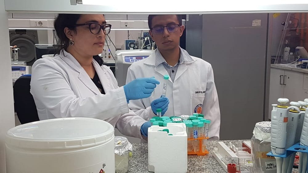 Salud reconoce que tomará contacto con científicos UdeC que trabajan en antiviral para Coronavirus