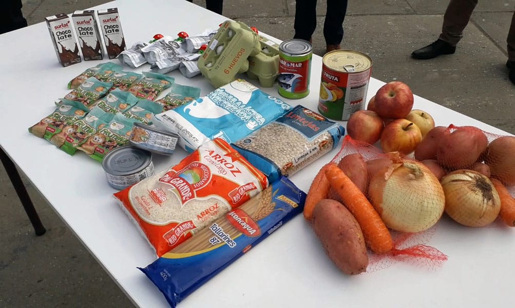 Hallan insectos en alimentos entregados a colegios del Gran Concepción: lote fue retirado