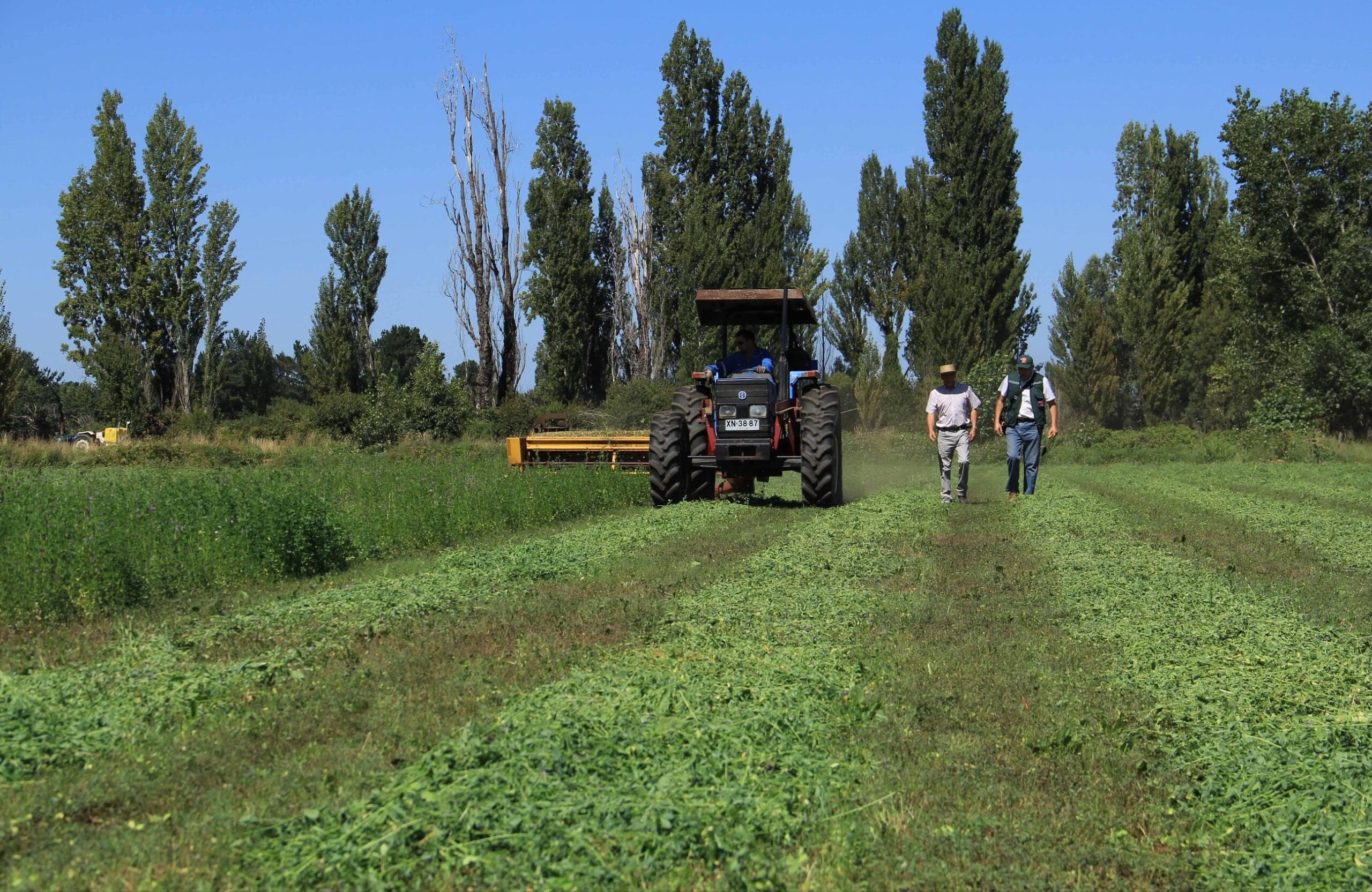 Llaman a Agricultores del Biobío a postular a concurso de  recuperación de  suelos