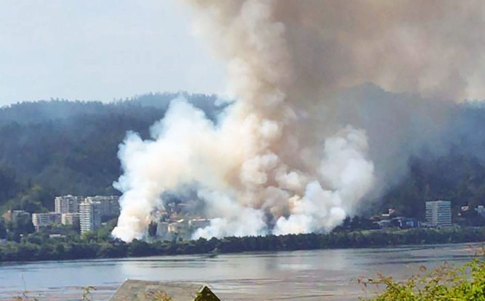 Incendio de pastizales en Concepción movilizó a cinco compañías de Bomberos