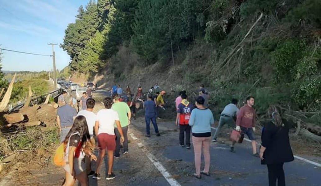 Derrumbe cortó Ruta de la Madera: Santa Juana momentáneamente aislada