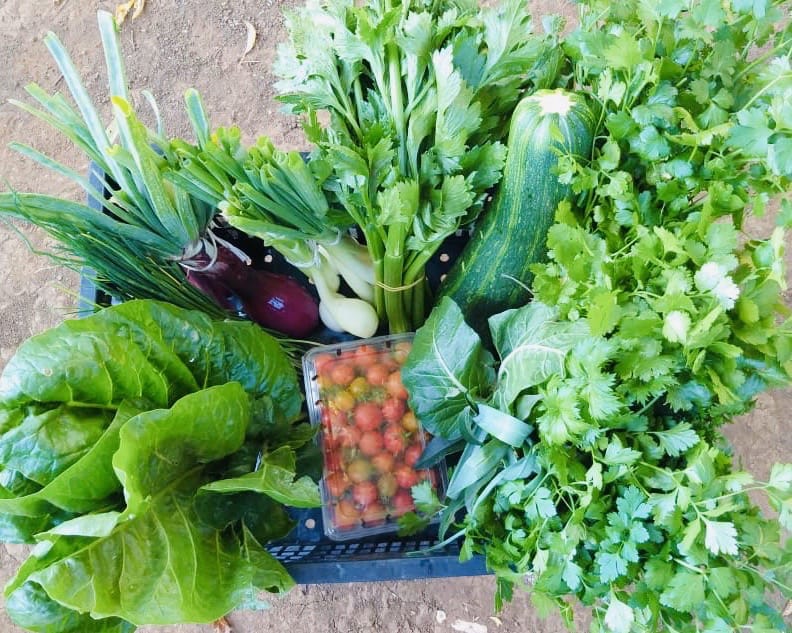 Agricultores se reconvierten al servicio delivery para enfrentar el coronavirus