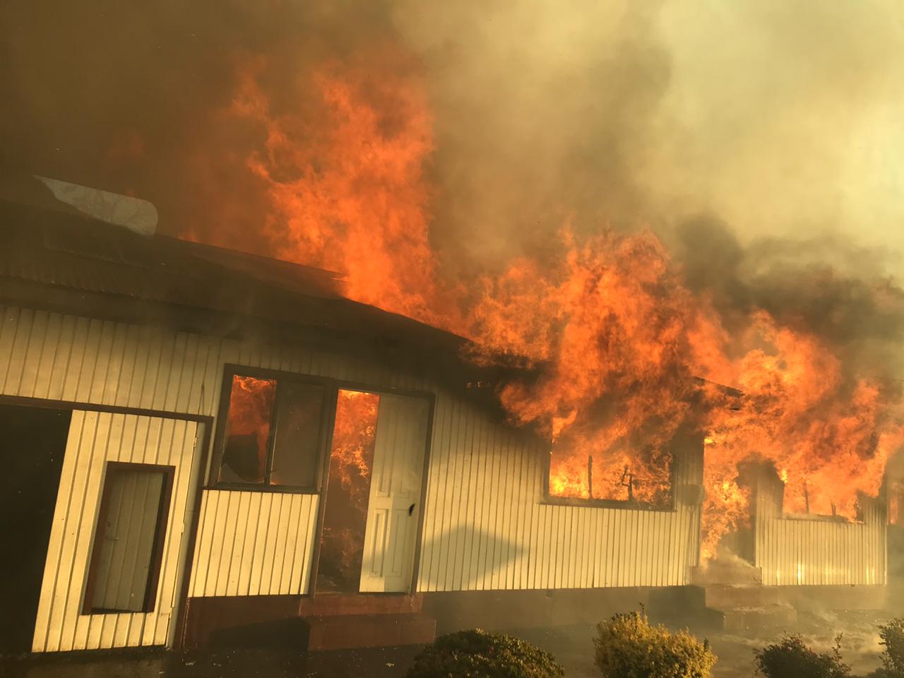 Incendio forestal obliga evacuación de viviendas en Arauco: Al menos dos casas quemadas