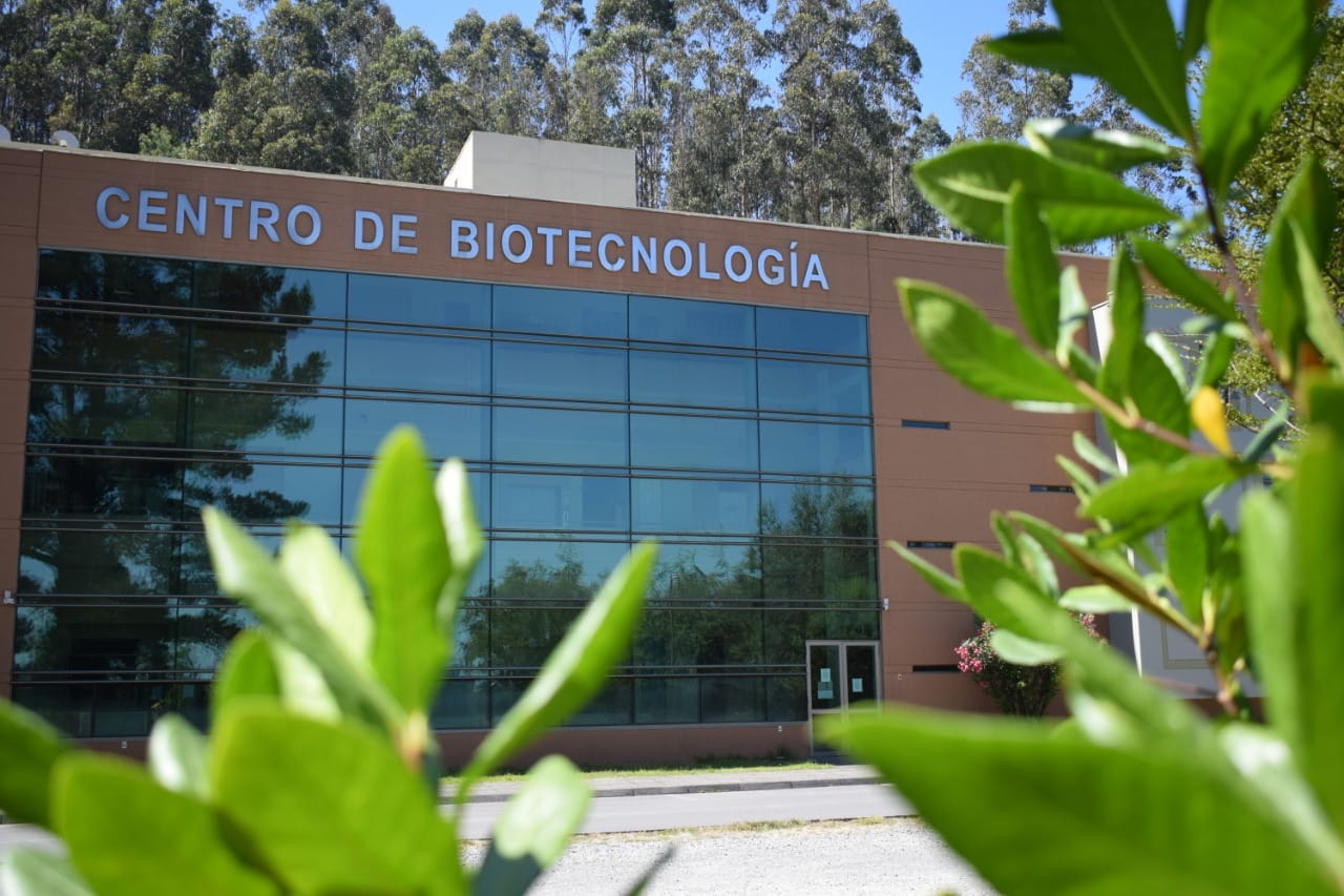 Centro de Biotecnología de la UdeC aporta con investigadores y equipamiento especializado para examen de diagnóstico Covid-19