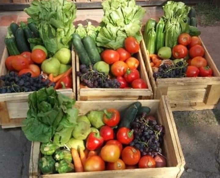 Presentan plataforma para venta de productos agrícolas a domicilio en la Región del Biobío