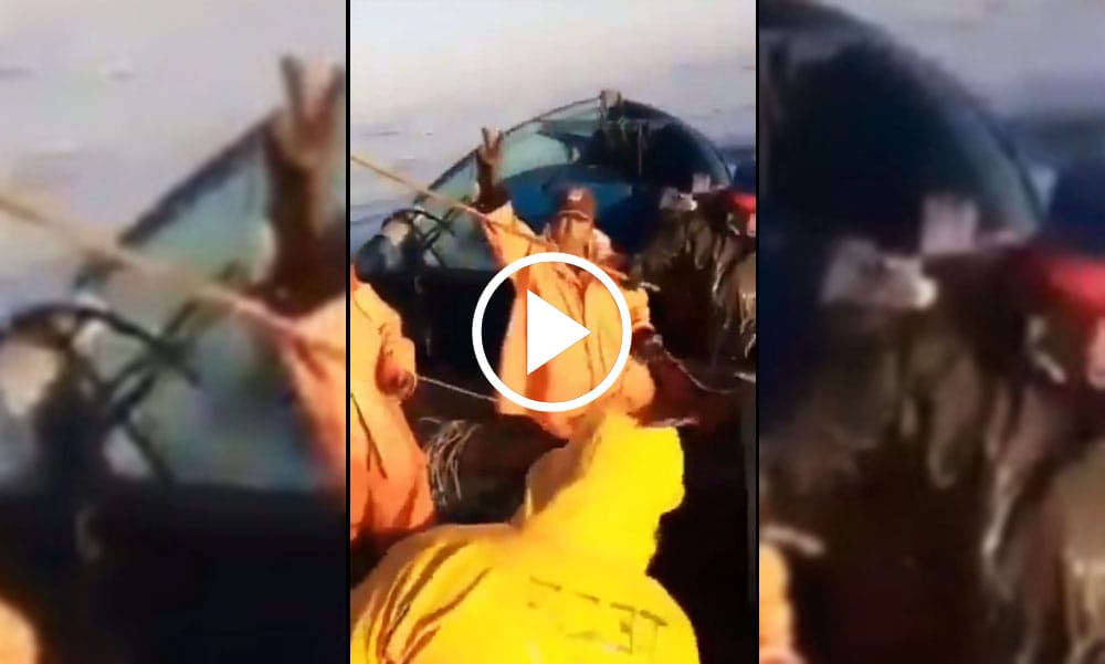 Pescadores del Biobío regalaron pescado a vecinos de comuna en cuarentena voluntaria