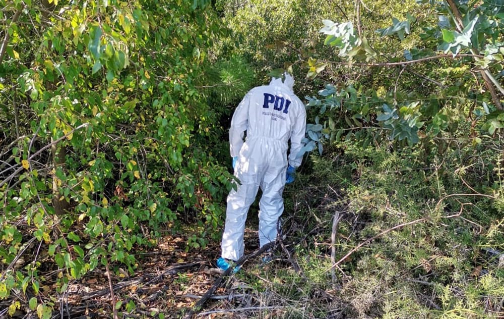 Golpes con hacha, fracturas y posible homicidio: Revelan detalles de secuestro que impacta Collipulli