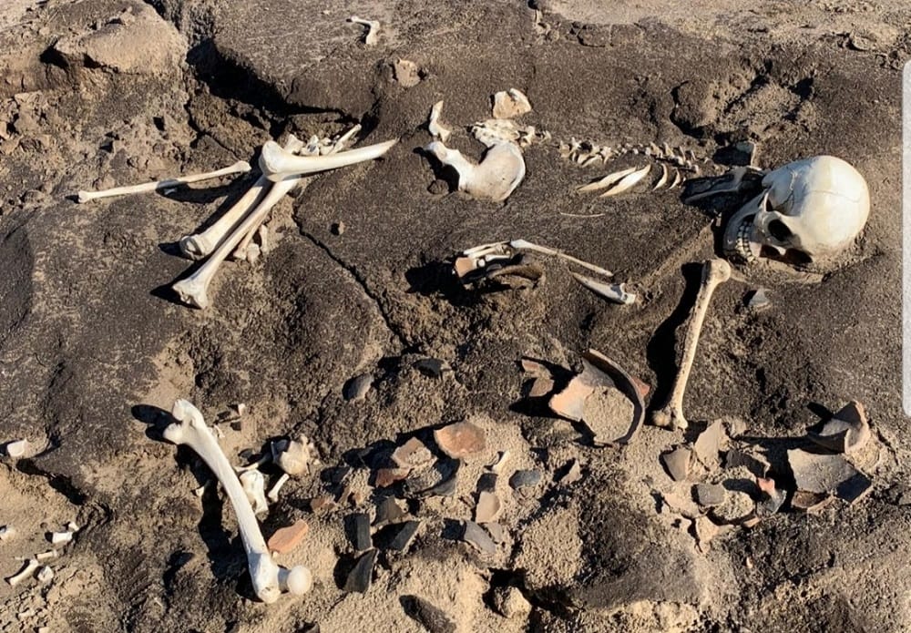 Hallan restos humanos y de vasijas ancestrales en territorio mapuche de Arauco