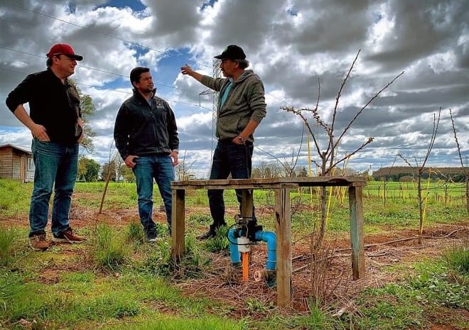 Chile Agrícola: Lanzan plataforma para  capacitar e informar a agricultores