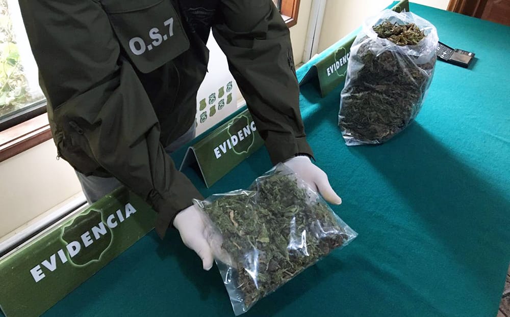 Detienen en Concepción a sujeto que tenía al interior de vivienda más de 3 kilos de marihuana y plantas