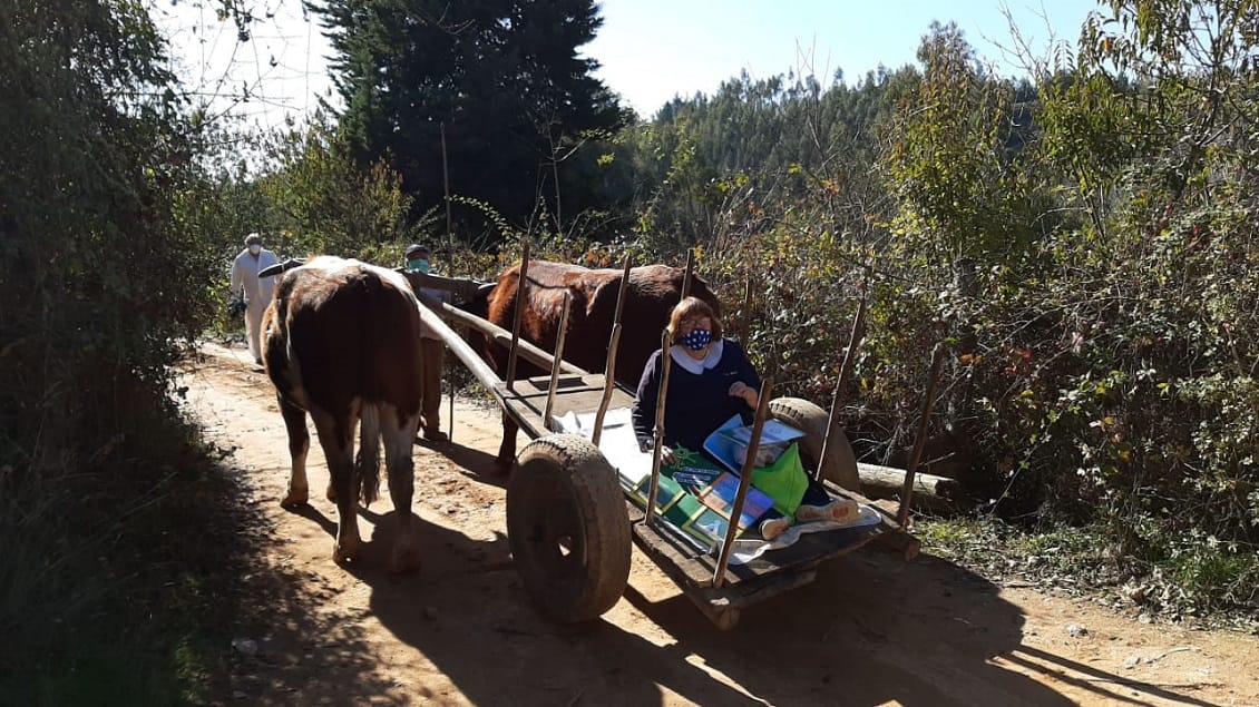 Profesora en carreta entrega material a alumnos en Santa Juana