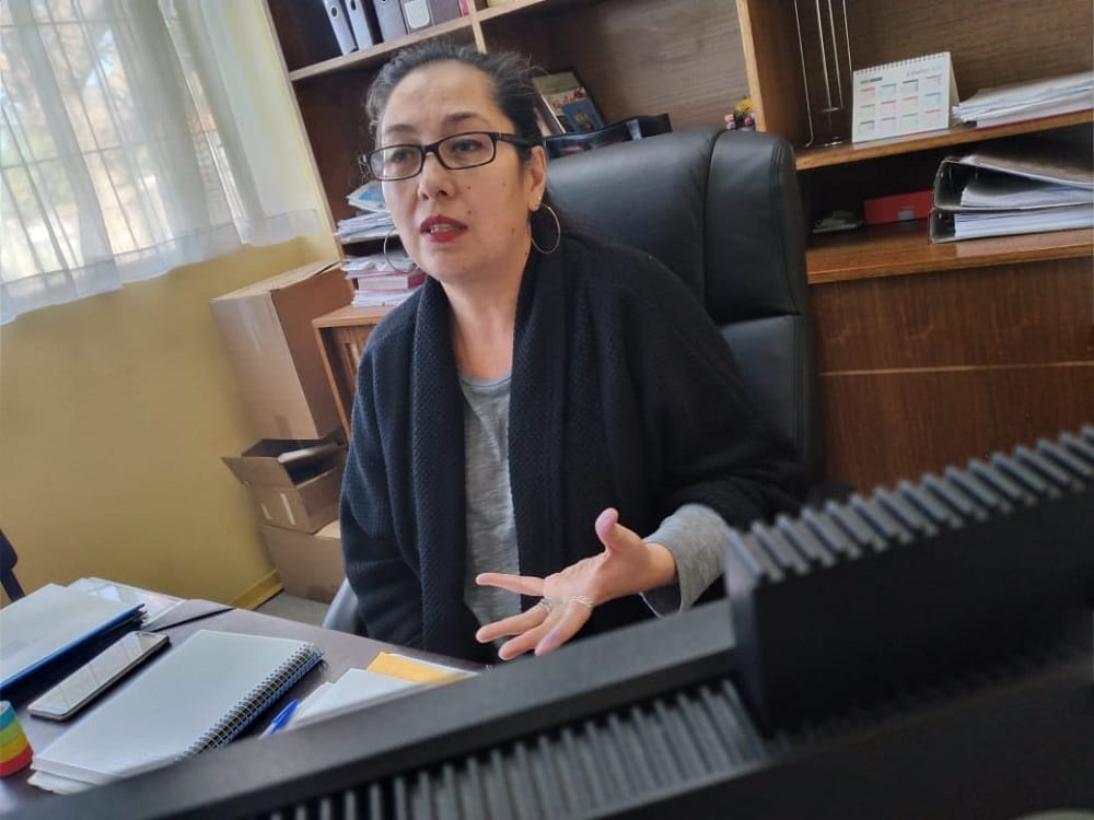 Las reacciones tras la salida de la directora regional del Sename a un mes del caso Nido Hualpén
