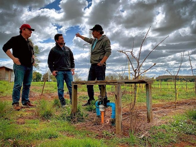 Charlas virtuales gratuitas explican seguros del agro ante la pandemia